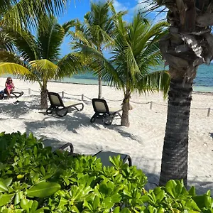 Beachfront Loft Amara Cancún