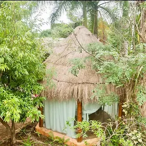 Oma - Holistic Healing Center Cancún